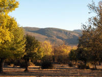 Camino Natural
